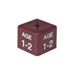 'Age 1-2' Size Cubes - Maroon