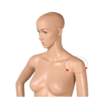 Full Body Female Mannequin F1 E1