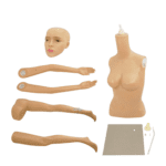 Full Body Female Mannequin F3 E3